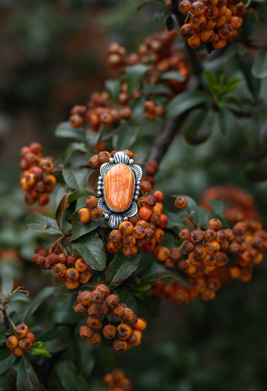 Spiny Oyster Adjustable Ring