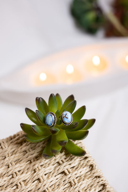 Golden Hill Turquoise Stud Earrings