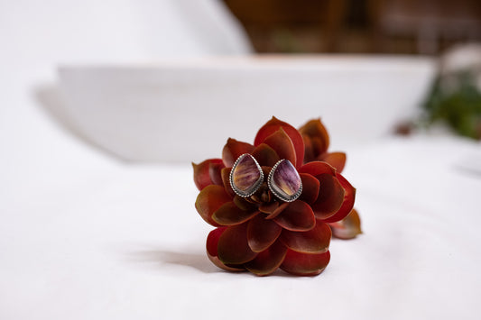 Purple Spiny Oyster Stud Earrings