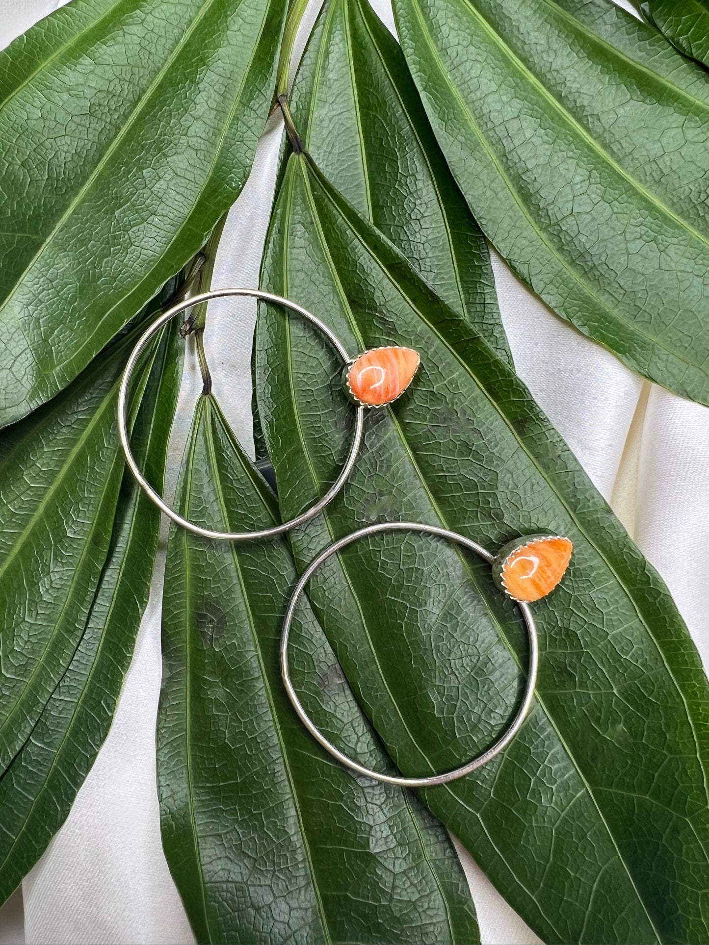 Spiny Oyster and Silver Hoop Earrings